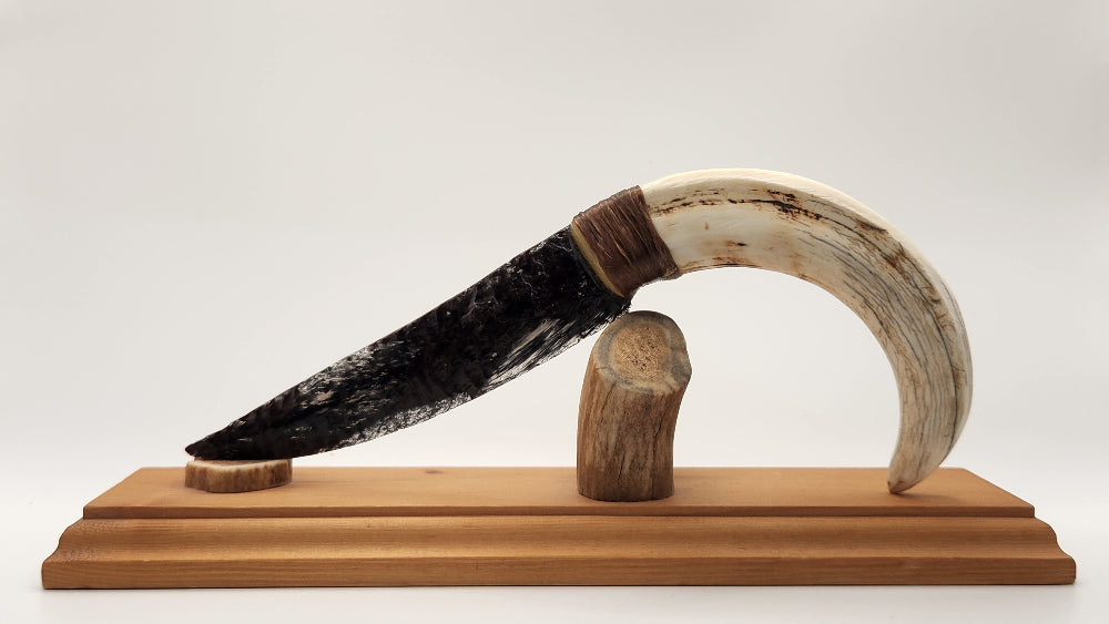 Tri Color Transparent Stone + Warthog Tusk