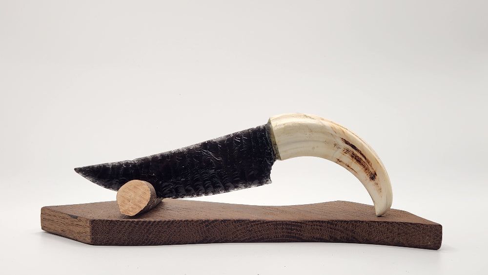 Black Transparent Stone + Warthog Tusk
