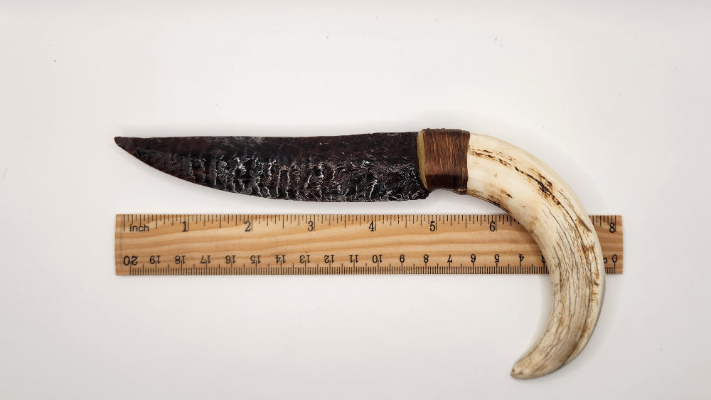 Tri Color Transparent Stone + Warthog Tusk