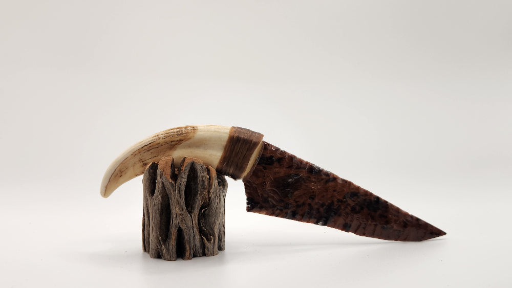 Mahogany Obsidian Stone + Warthog Tusk