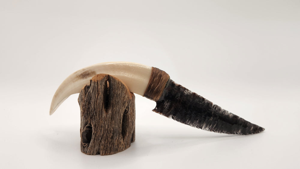 Black Transparent Obsidian Stone + Animal Tusk