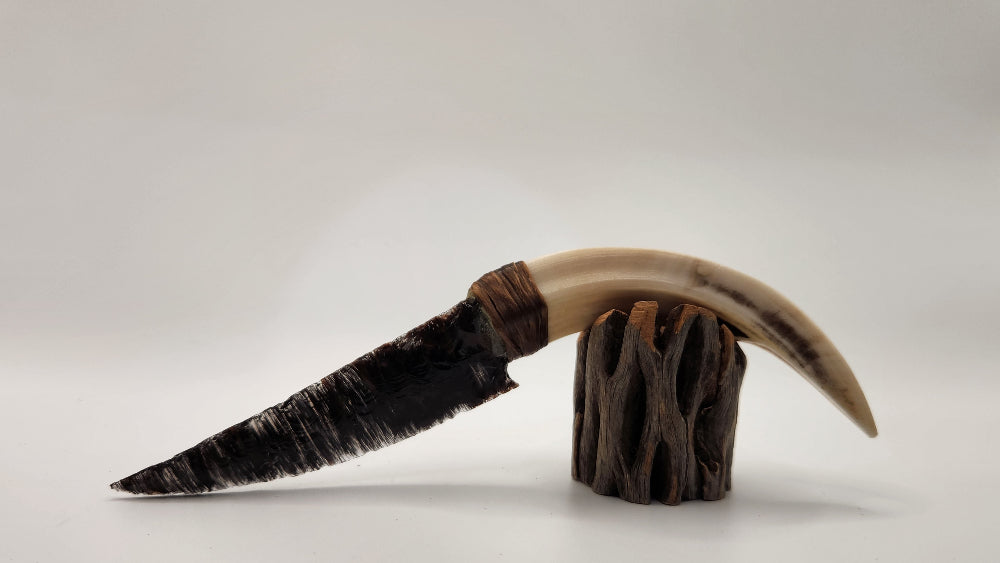 Black Transparent Obsidian Stone + Animal Tusk
