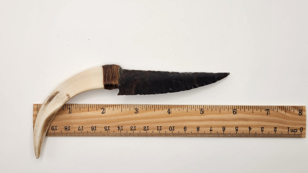 Black Transparent Obsidian Stone + Animal Tusk