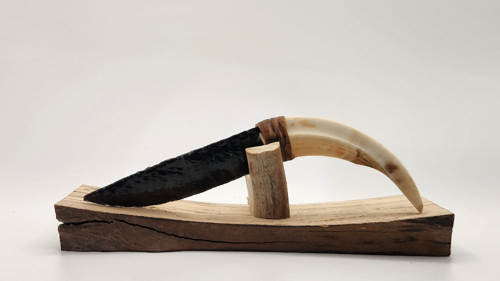 Black Transparent Obsidian Stone Knife + Animal Tusk